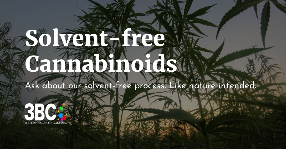 3BC_Cannabinoid's tweet photo. Solvent-free and hemp-derived.  Curious?  Contact us to learn more.
https://t.co/c7OYHpuUZd

#3BC #hemp #solventless #science https://t.co/i5VmOVZeUo