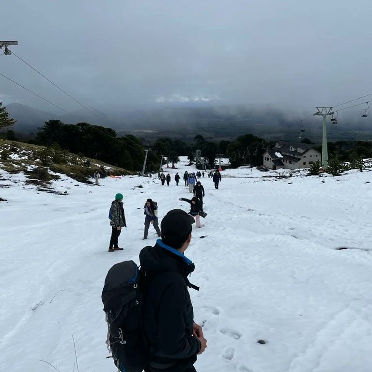 Agroambiente UFRO tweet media