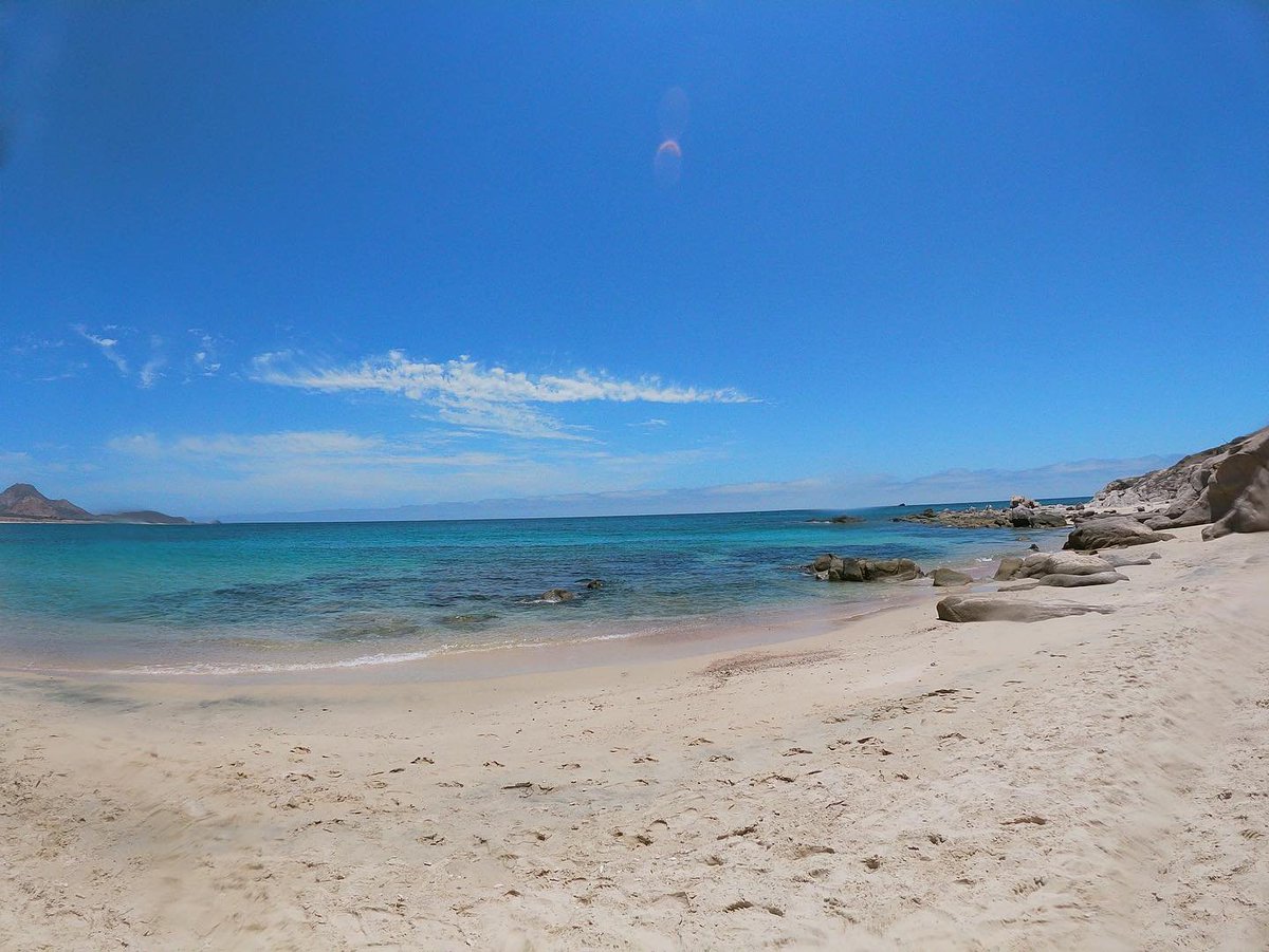 Wonderful landscapes that you will only find in our Tours🌟🌵

BOOK NOW >>> bit.ly/3nWEDS7 and enjoy our Baja Jeep to Cabo Pulmo

#jeep #jeeplife #offroading #jeepwrangler #jeepnation #jeeplove #jeepfamily #itsajeepthing #jeepporn #wrangler #jeepbeef #jeepsofinstagram
