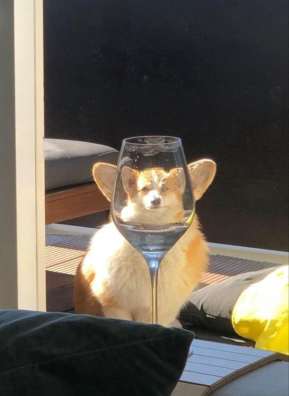 This photo is everything to me 🤣