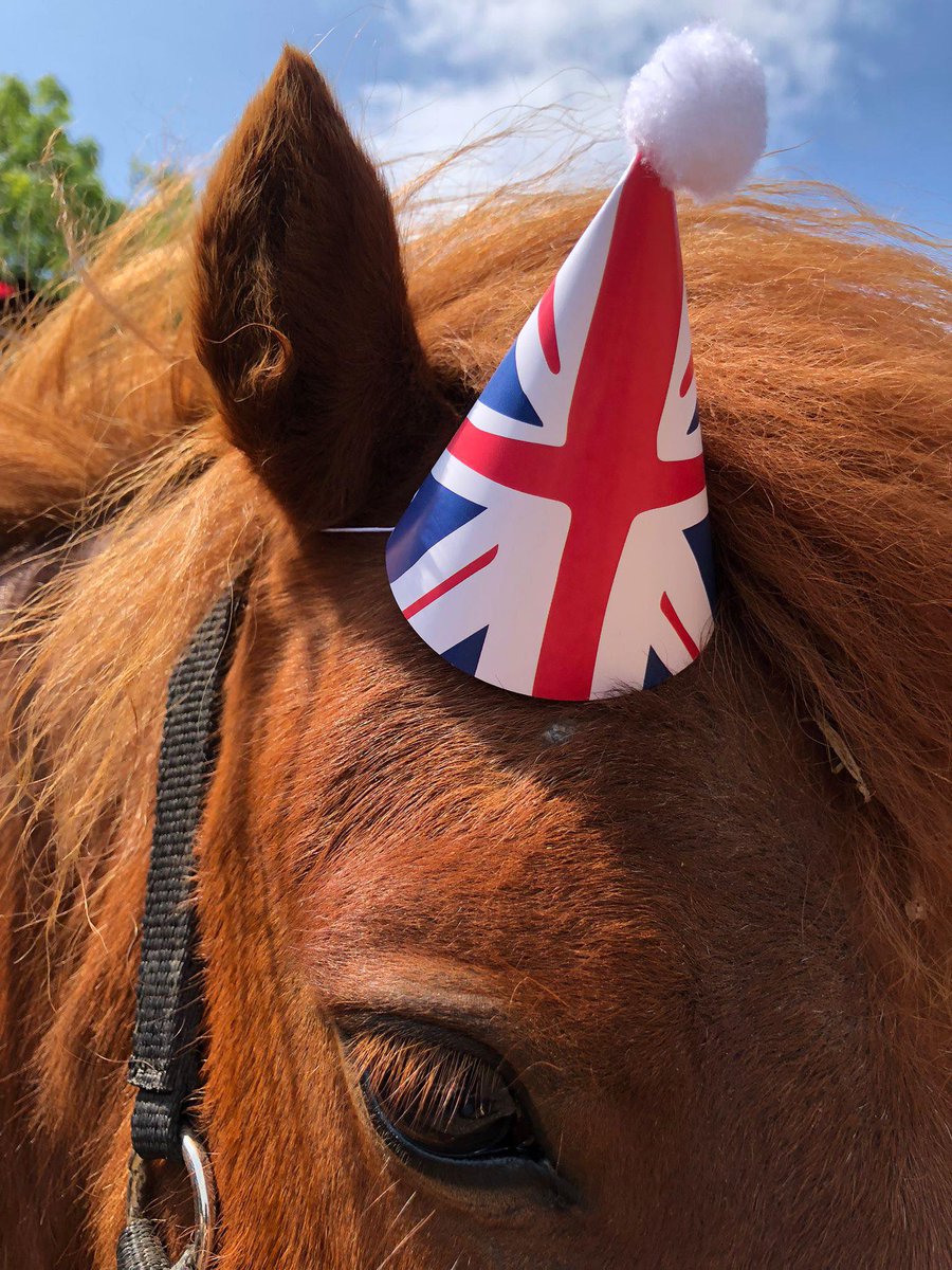 #ThursdayThoughts 'Do I look cute in this or do I look cute in this?' Hector ponders quietly to himself as we got into the #JubileeWeekend You look super cute Hector and were the star of the pony games! #Shetland