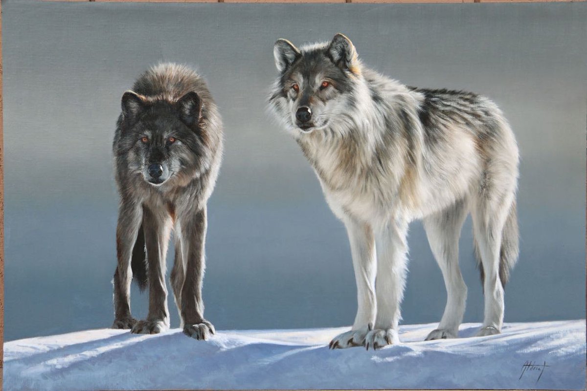 Edward Aldrich 
“Point of Interest” 
24 x 36 inches