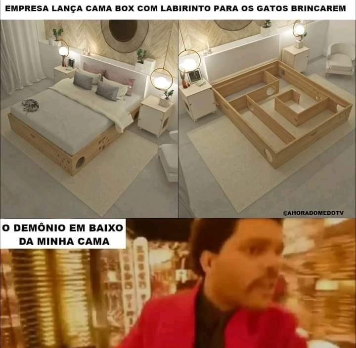 Terror do Cotidiano (@terrorcotidiano) on Twitter photo 