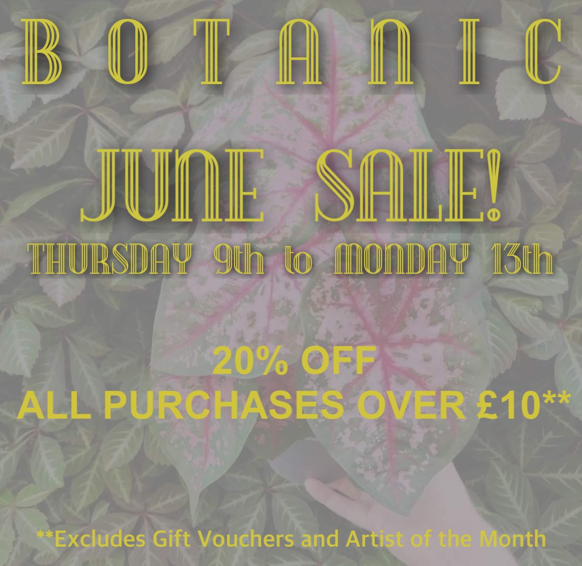 botanicyork's tweet photo. A treat from us to you. ๐
Thank you for supporting us.
#botanicyork #yorksurbanjungle #houseplantshopyork #since2018 #plantsale #ilovewalmgate #indieyork https://t.co/zHjGfy8S4N