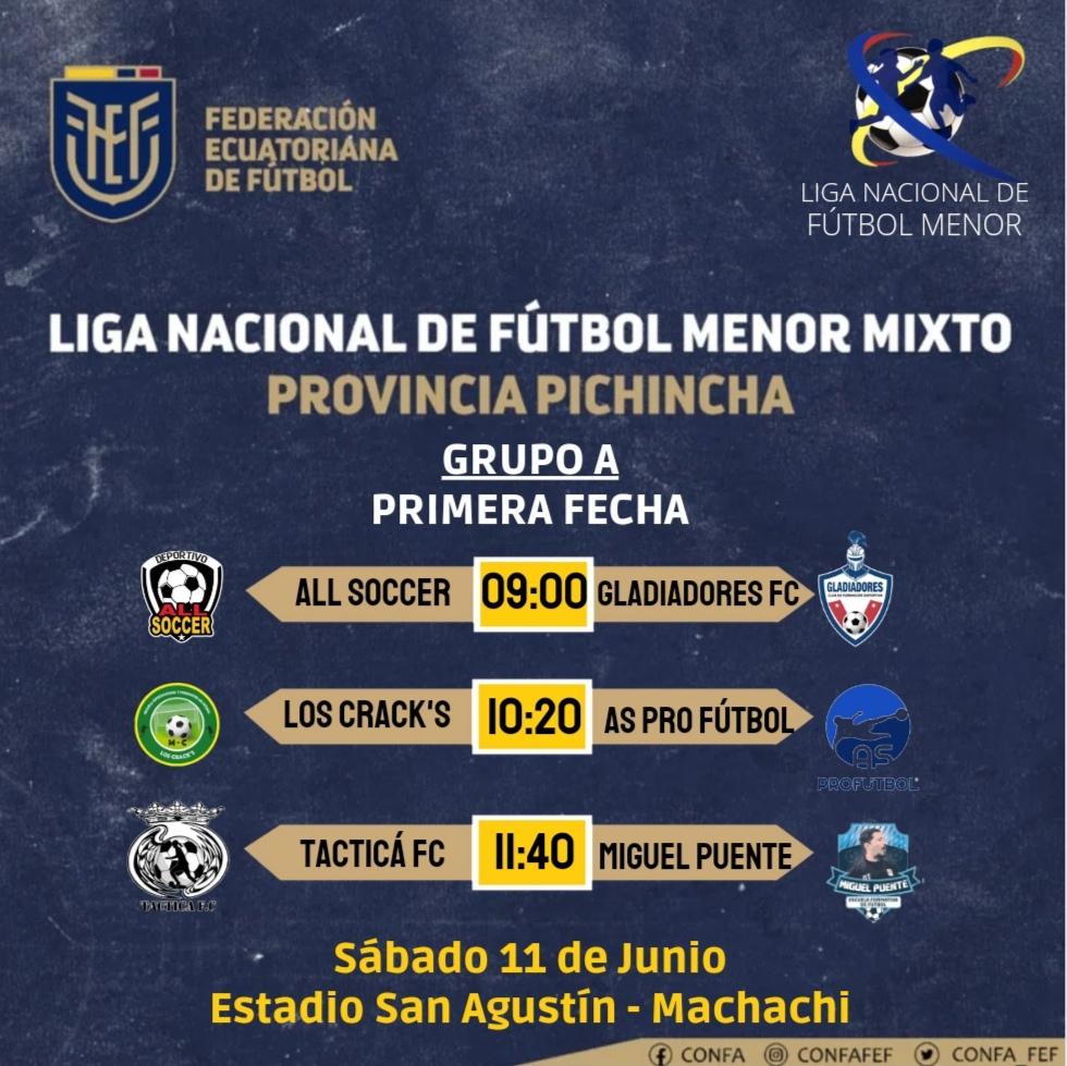 lnfa_fef's tweet photo. Liga Nacional de Fútbol Menor Mixto Sub 14 🇪🇨

🚩Provincia Pichincha
El Inicio del torneo será éste sábado 11 de junio💯

#FEFecuador #confa #futbolmenor https://t.co/AlKdZ2BN4Z