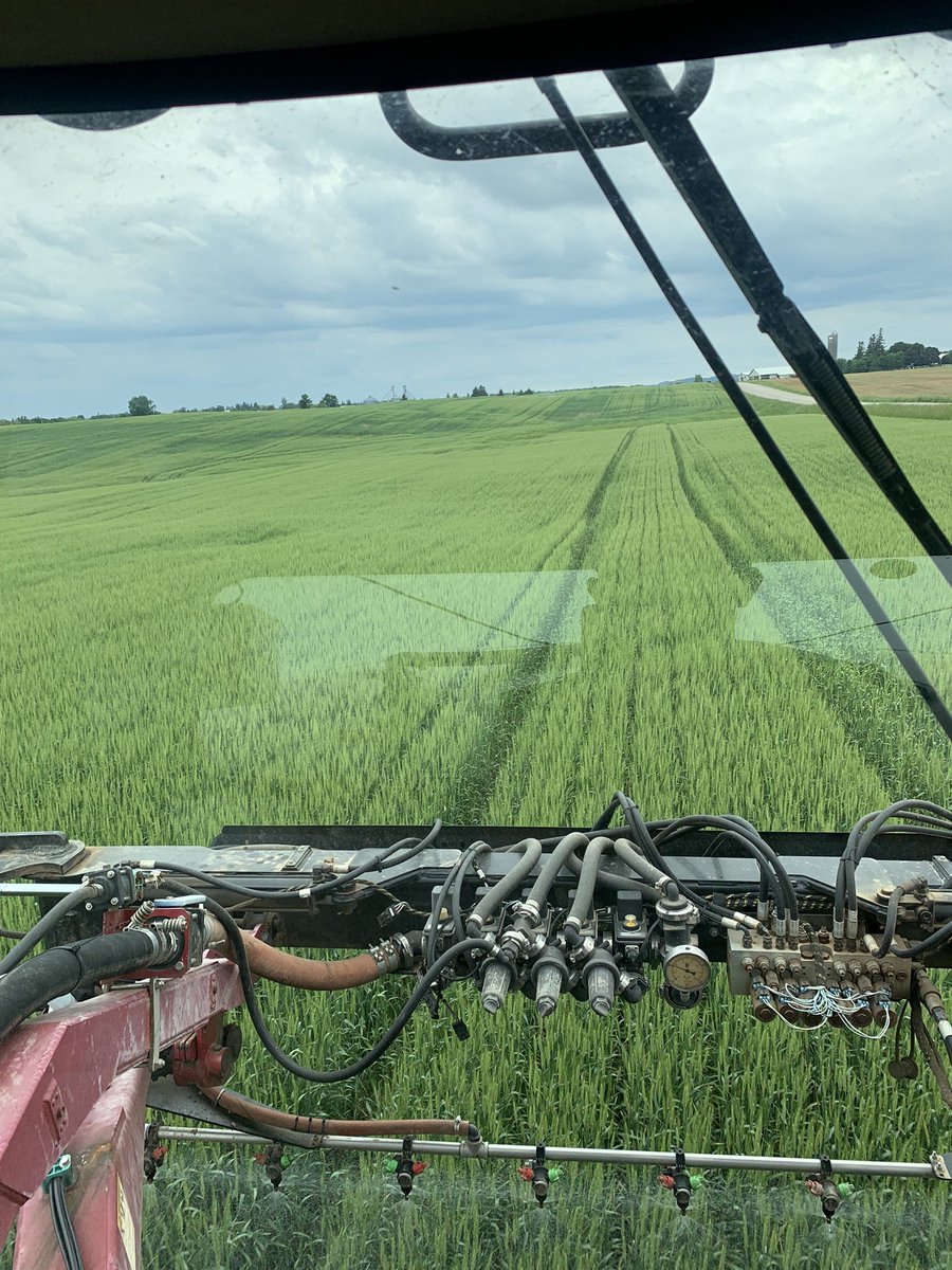 BaumanFb's tweet photo. Productive day for team #groundplane laying down the last layer of protection on the wheat https://t.co/vjn5Pnbcrh