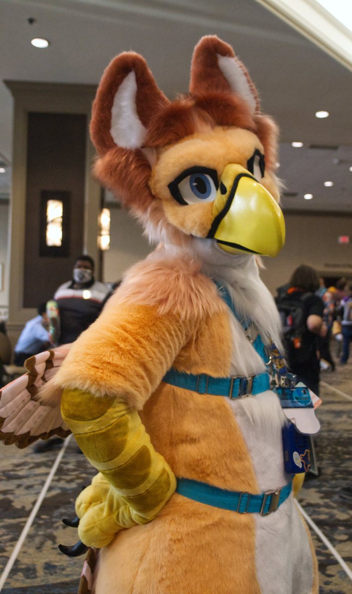 StirlingCorgi's tweet photo. Continuing to work on editing my pics from Texas Furry Fiesta back in March 2022. Tag anyone if you recognize them. #TFF #TFF22 #furry #fursuit https://t.co/hoeKAzkZWf