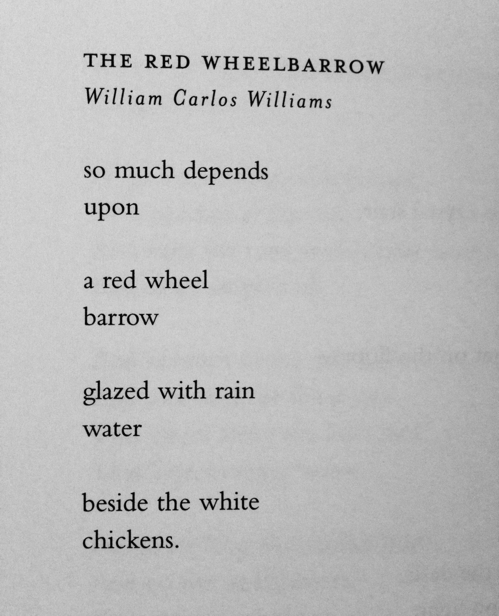Nikita Twitter: "This William Carlos Williams poem and Mary Ruefle's hilarious response poem. https://t.co/bGh88BEkgQ" / X