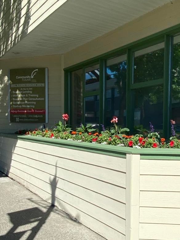 Our lovely flowers we have done every year are in bloom!