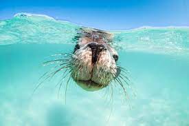 Canada's Travel Guy tweet media