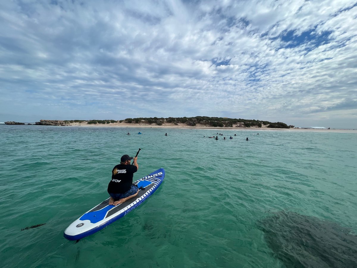 Canada's Travel Guy tweet media