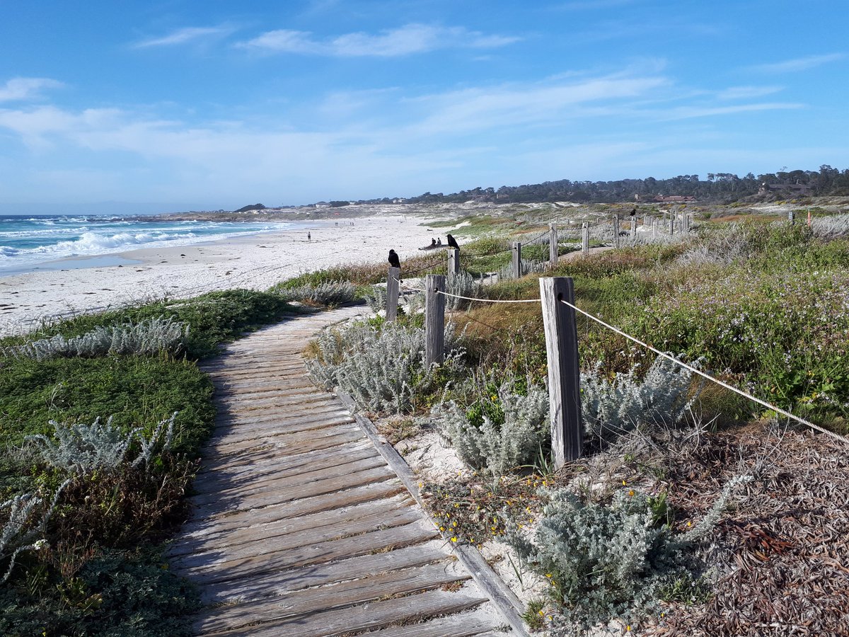 Looking forward to interesting talks and posters in this beautiful location #PEQG22. Come stop by tonight for pop gen statistics with pool sequencing, poster 276W!