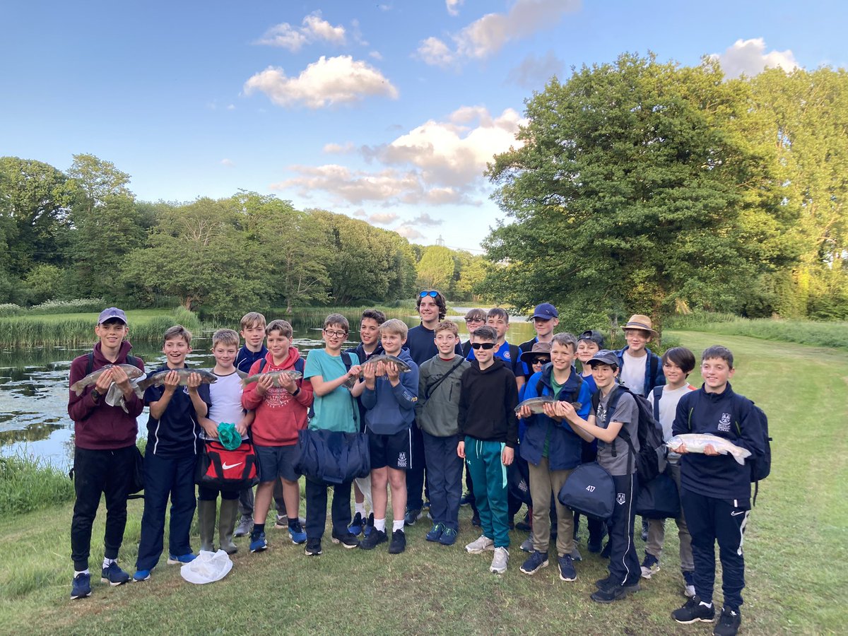 BWS Skiing tweet media