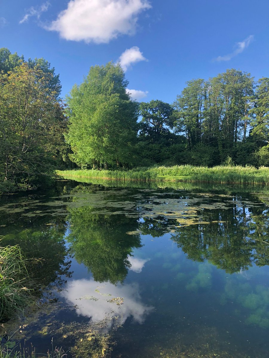 BWS Skiing tweet media