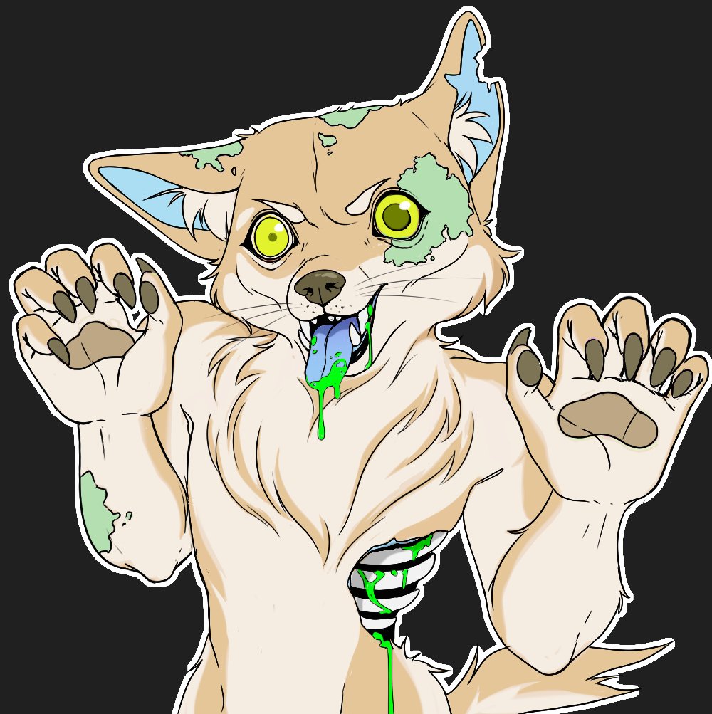 Club Shiba 🦴 tweet media