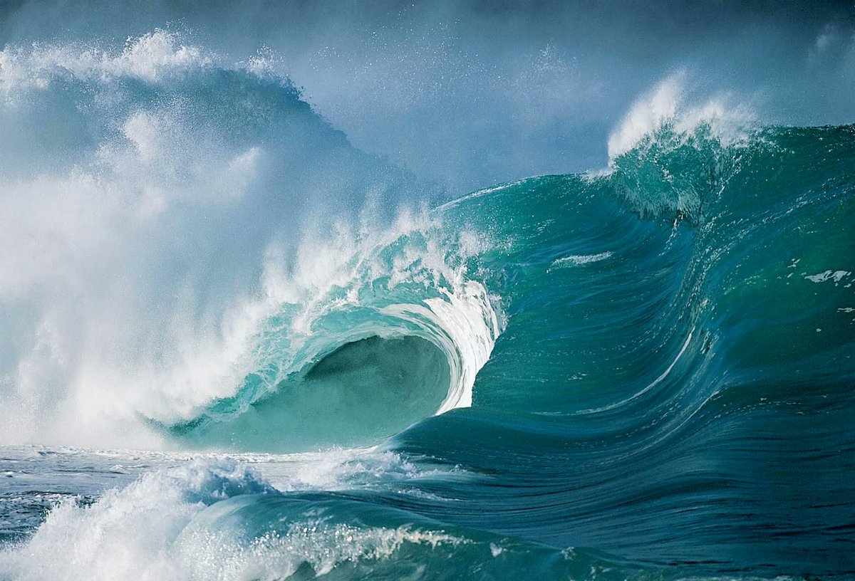 nodes_smart's tweet photo. Build a sustainable and regenerative Earth Economy with @ixoworld
https://t.co/6hlNLRAmp1
๐#WorldOceansDay
#internetofimpact #WorldEnvironmentDay2022
#Nature #ClimateAction #climate $IXO https://t.co/EQoB1921n6