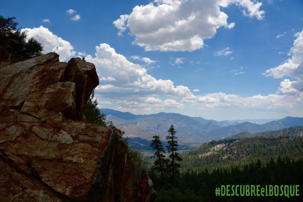 “La nación que destruye su tierra, se destruye a sí misma. Los bosques son los pulmones de nuestra tierra, purifican el aire fresco y dan fuerza a nuestro pueblo.” 🌲
 
 - Franklin D. Roosevelt 🎩
📍 Sequoia National Forest.