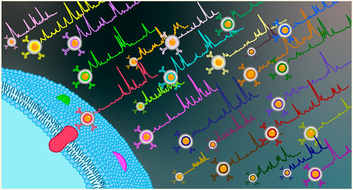 Check out our <a href="/acsnano/">ACS Nano</a> paper on #multiplex capabilities of #SERS-based Raman imaging in molecular profiling to improve #cancer diagnostics and personalized medicine

📖 pubs.acs.org/doi/10.1021/ac…

<a href="/TheZavaletaLab/">ZavaletaLab</a> <a href="/uscbme/">USC BME</a> <a href="/USCViterbi/">USC Viterbi School</a> <a href="/USCChemistry/">USC Chemistry</a>