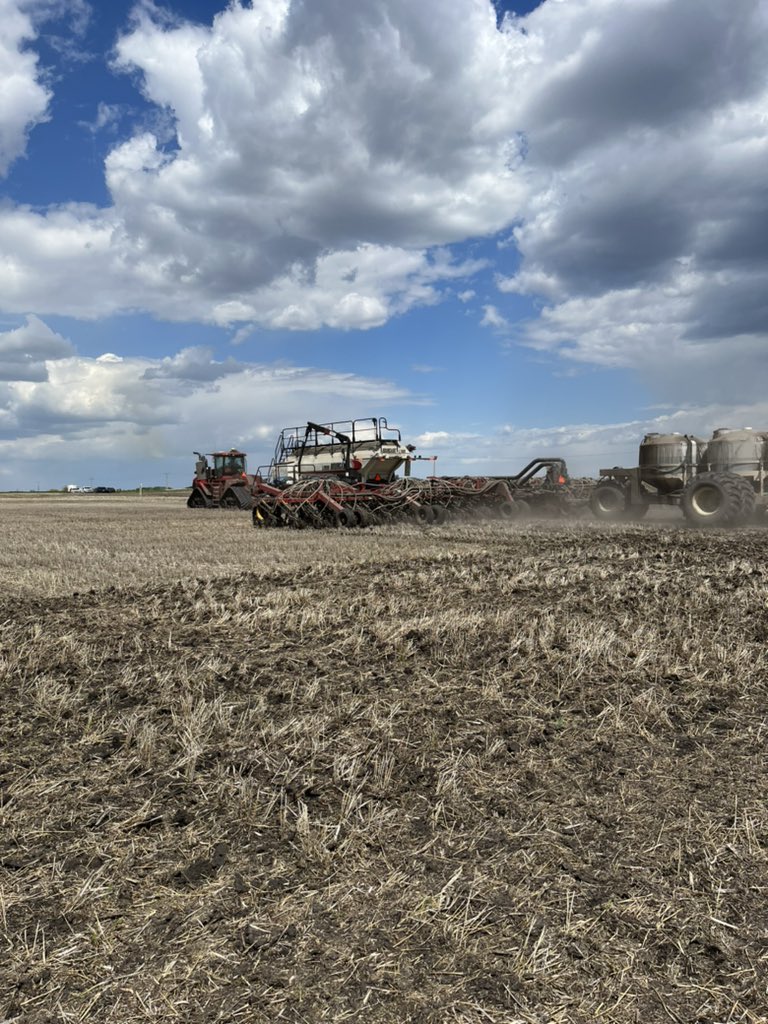 A beautiful day to put a DST in ☀️ Big thank you to Gavin, <a href="/_StaySharpe/">Sharpe's Crop Services</a> and <a href="/ThorpeAg/">Myles Thorpe</a> for making this happen. So excited to see how these hybrids perform this season! #teaminvigor <a href="/BASFAgSolutions/">BASF Agricultural Solutions Canada</a>
