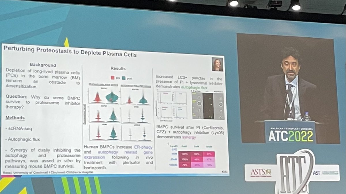 Amy Rossi (@amyprossi) on Twitter photo Proud š¤ to have my abstract on #proteasomeInhibitors, #autophagy, and #PlasmaCells featured in the āWhatās Hot Whatās Newā session at #ATC2022Boston given by Dr. Cravedi. <a href="/ATCMeeting/">AmericanTransplantCongress</a> <a href="/eswMD/">E Steve Woodle MD</a> <a href="/HildemanLab/">Hildeman Lab</a> <a href="/CincyImmunology/">CCHMC Immunology Grad Program</a> Proud š¤ to have my abstract on #proteasomeInhibitors, #autophagy, and #PlasmaCells featured in the āWhatās Hot Whatās Newā session at #ATC2022Boston given by Dr. Cravedi. <a href="/ATCMeeting/">AmericanTransplantCongress</a> <a href="/eswMD/">E Steve Woodle MD</a> <a href="/HildemanLab/">Hildeman Lab</a> <a href="/CincyImmunology/">CCHMC Immunology Grad Program</a>