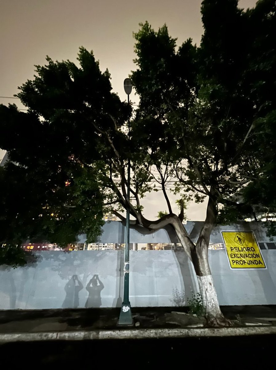 Polárea tweet media