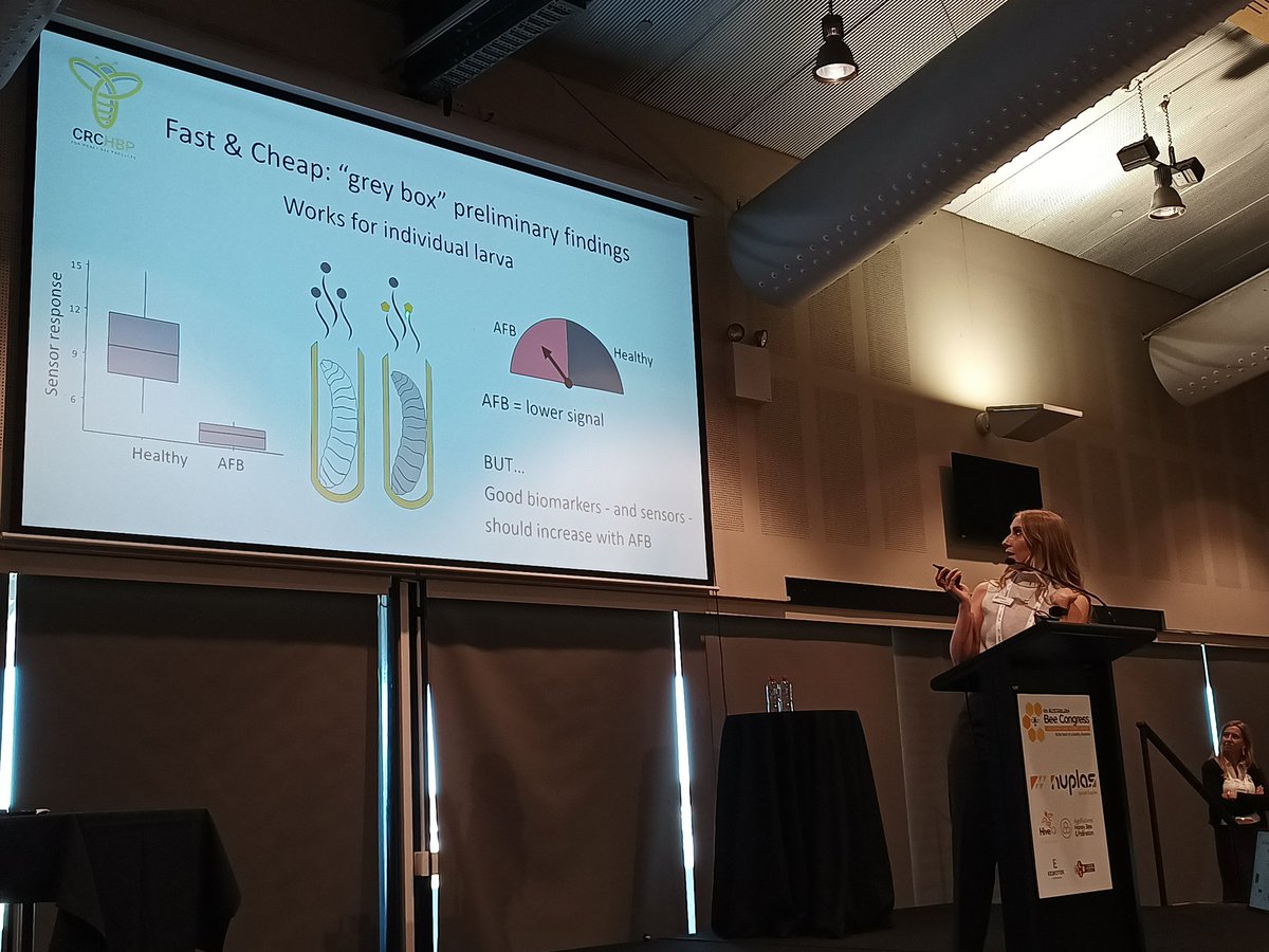 Bryan Boruff tweet media