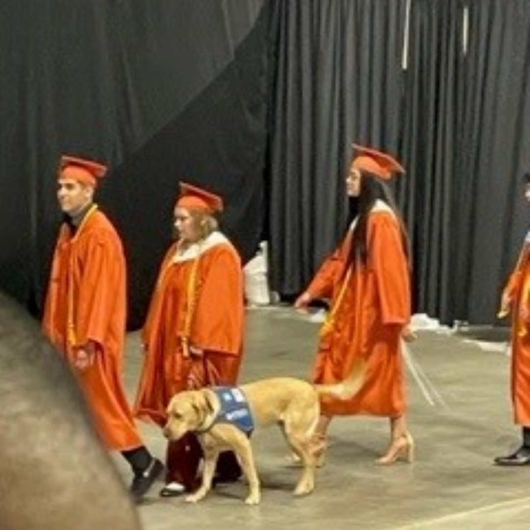 bestdogsinsight's tweet photo. 🎓Congratulations to all Class of 2022 grads -- from Pre-K to PhD! Thanks to Rebecca Morrison for sharing this image of GDTX puppy raiser Delaney Morrison -- and Guide Dog Puppy Nacho -- crossing the stage at Madison H.S.!🦮 Proud of a grad? Post a picture here! #gdtx #2022 https://t.co/JimWhWSMPh