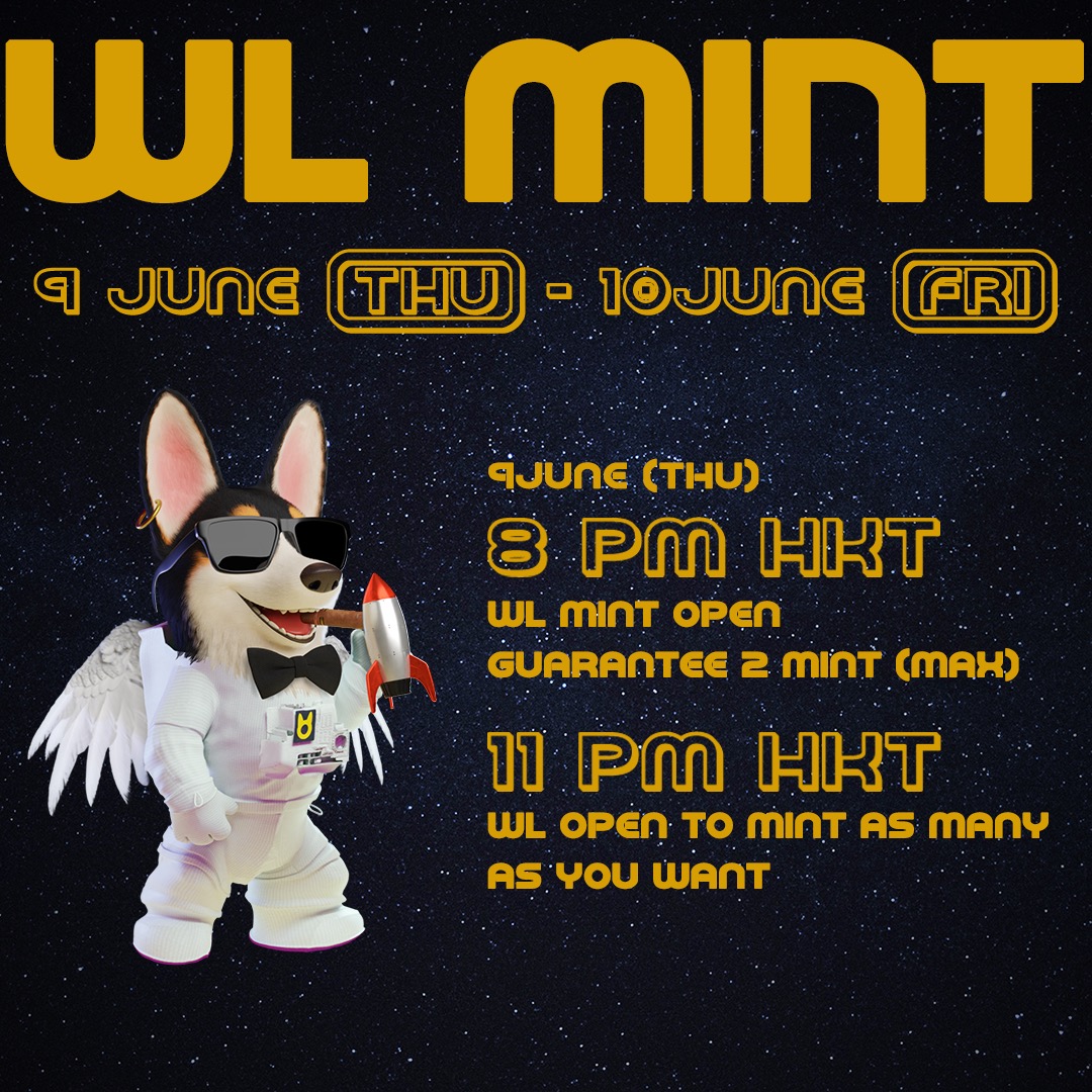 Tamacorgi tweet media