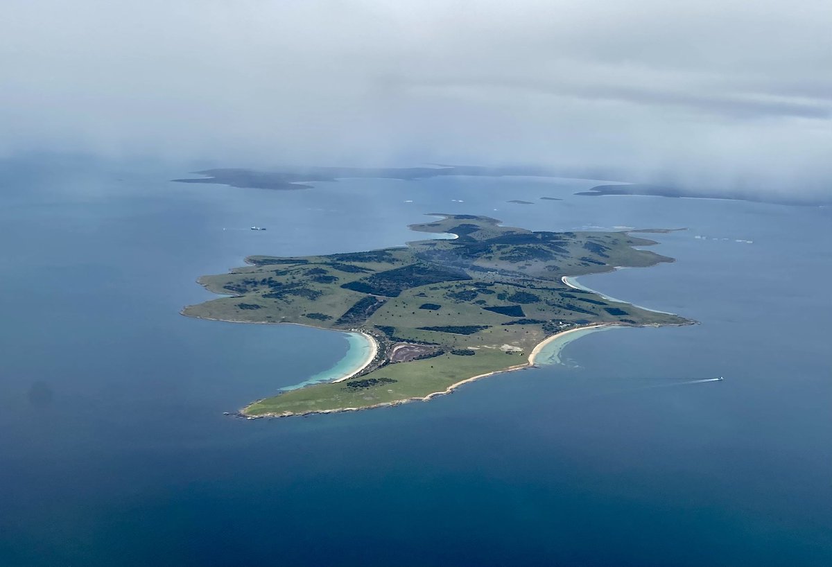 Charlie Huveneers tweet media