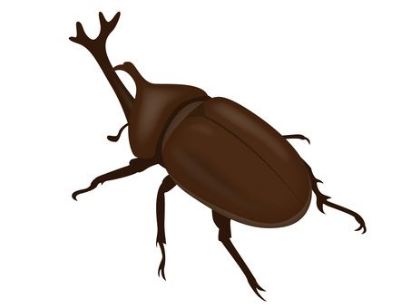 クワガタムシのtwitterイラスト検索結果