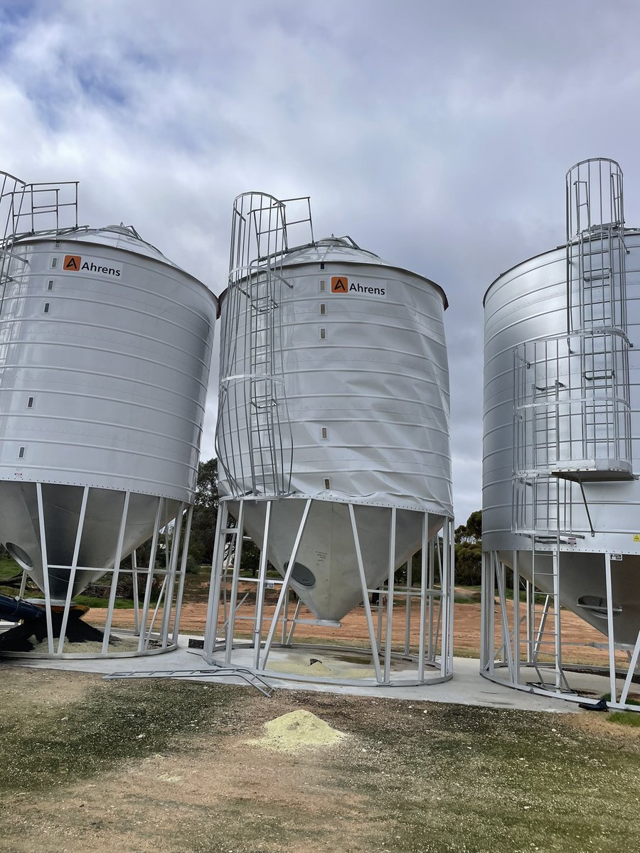 Matt Witney tweet media