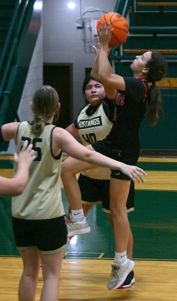 Stephanie Roberts tweet media