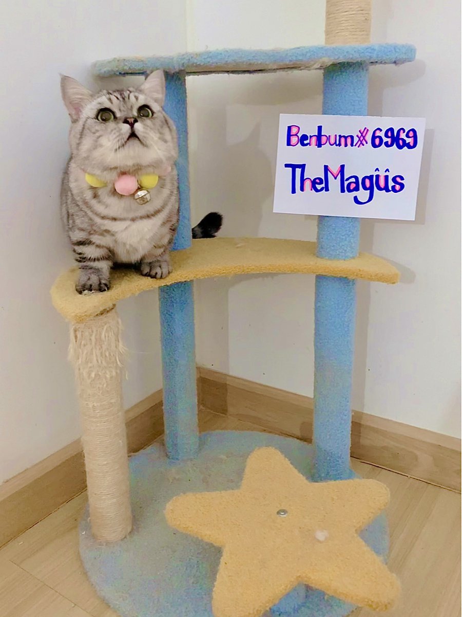 Benbbum's tweet image. @PeachLatte12 
@NotVerds 
@crystal_lyn14