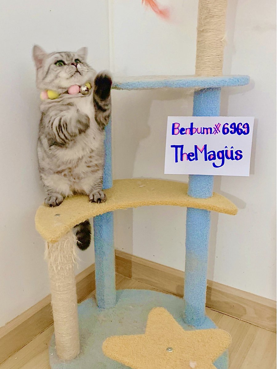 Benbbum's tweet image. @PeachLatte12 
@NotVerds 
@crystal_lyn14