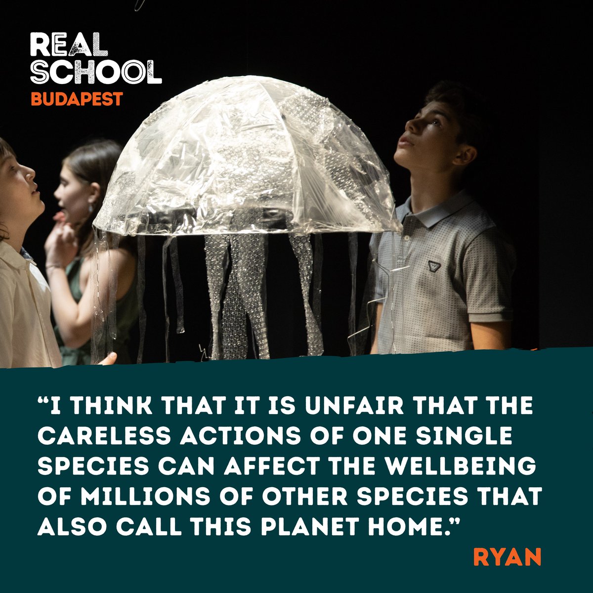 REAL School Budapest tweet media