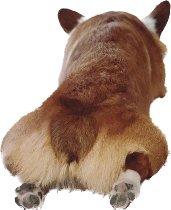 nanoghost tweet media