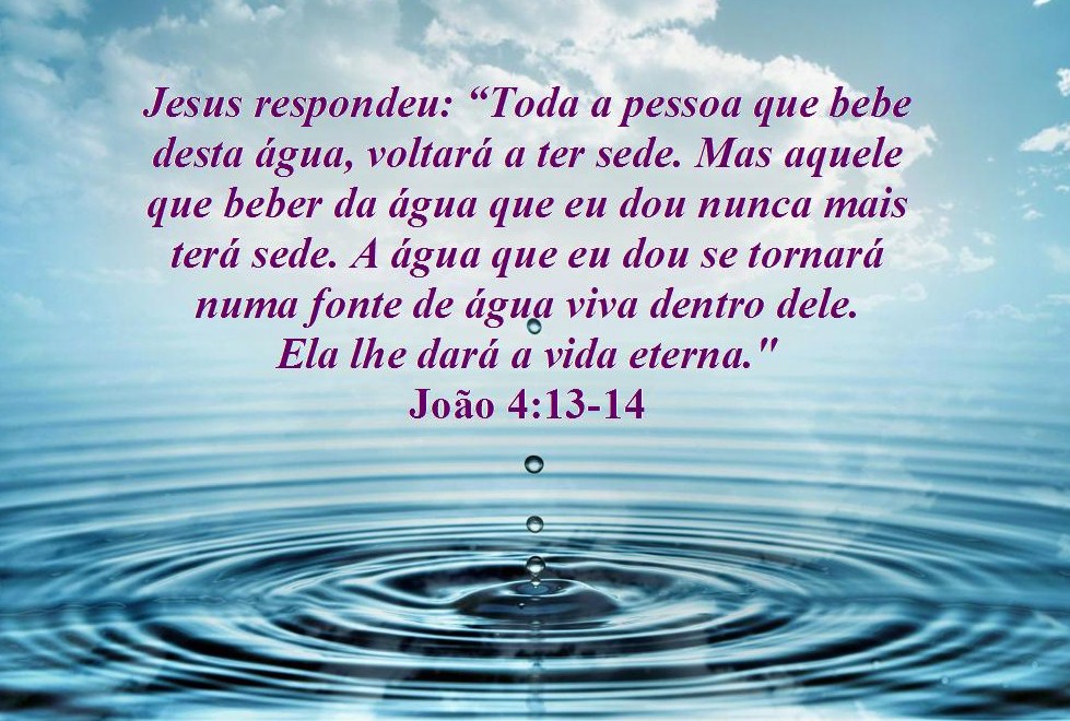 CarminDev's tweet image. 