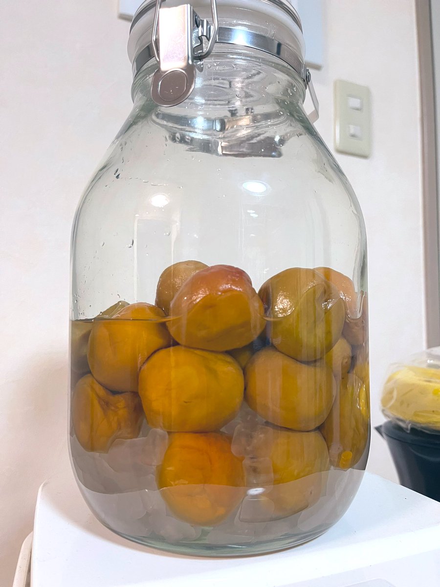 梅シロップ2日目 氷砂糖が溶け始めている コロコロ転がして梅に満遍なく お砂 片山陽介のイラスト