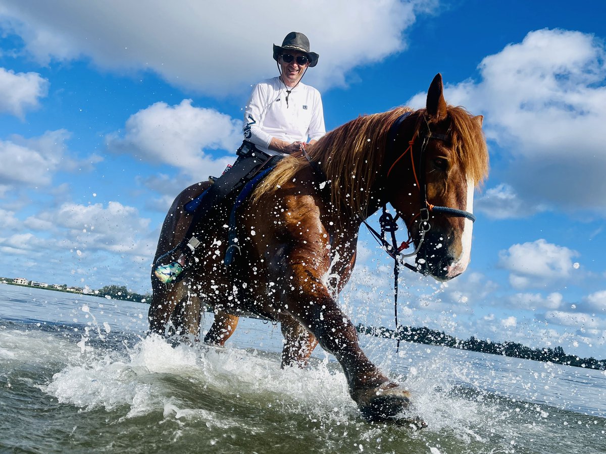The animals are gorgeous, the views are stunning, and the experience is something you’ll never forget! Go swim, surf, and body ski in Bradenton with Florida Beach Horses! As seen on Good Day Orlando: youtu.be/Ze5YwZhbxn8