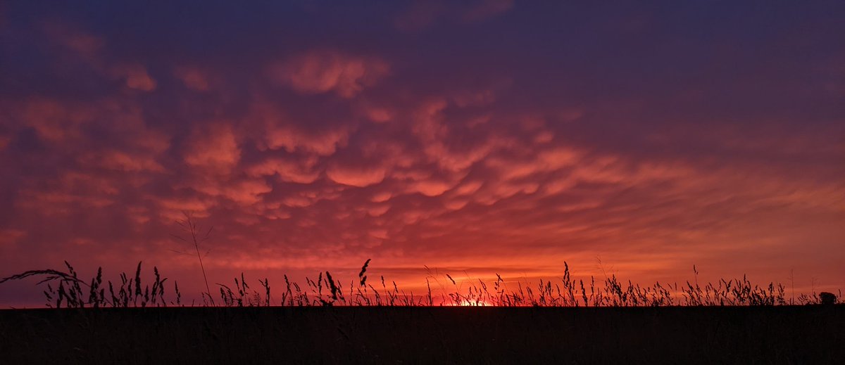 gdebrun's tweet photo. Today's sunrise just before the thunderstorm ⛈️ near Pawnee @NWSLincolnIL https://t.co/8mcjQHA1K7
