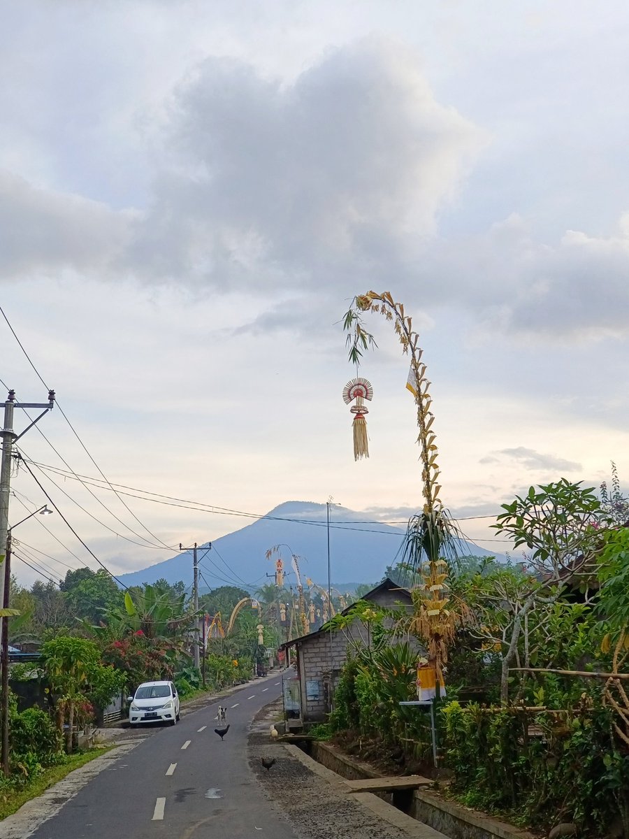 TF (@topanfreeman) on Twitter photo 