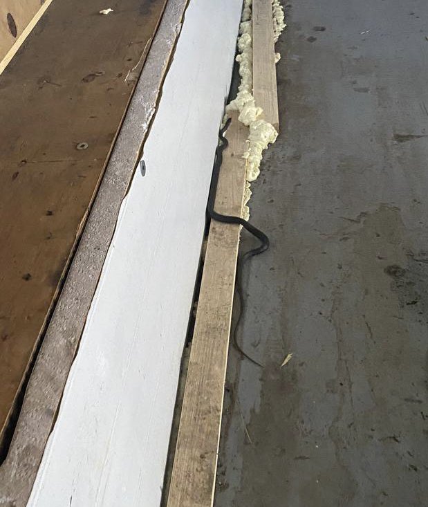 Snektoshi in the #Bitcoin mine! 😯