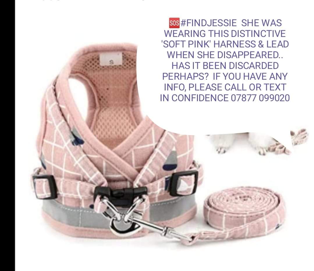 MissingPetsGB's tweet photo. #findJessie Please Lookout for her Distinctive 'soft Pink plaid' HARNESS and /or LEAD... Call or Text with any info... Thankyou https://t.co/7EiFftBvxb https://t.co/PIlisEjDcA