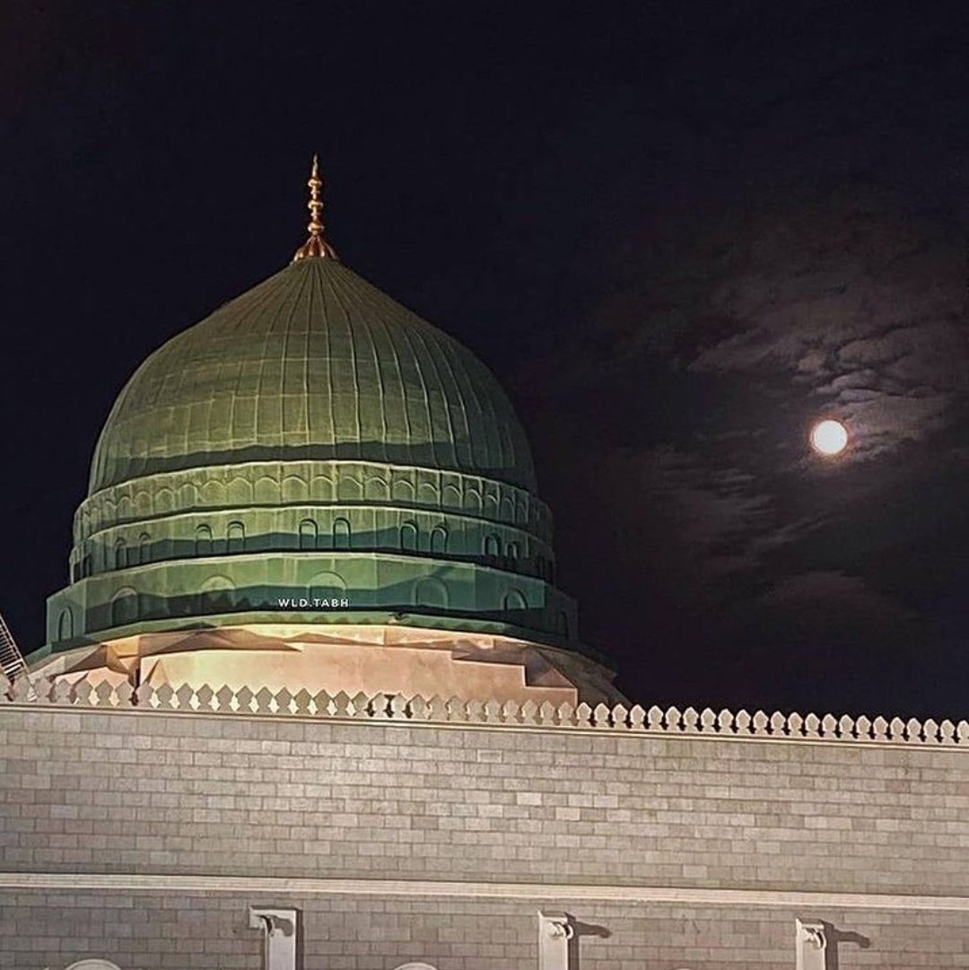 Ermek istersen o Şâh’ın himmet ü imdâdına
Cân ü dilden âşık ol sen ism-i zât evrâdına
Ses verir Ulvî melekler âteşîn feryâdına
Ben Resûl-i kibriyânın bülbül-i nâlânıyım
Mücrimim gerçi cemâl-i Mustafâ hayrânıyım