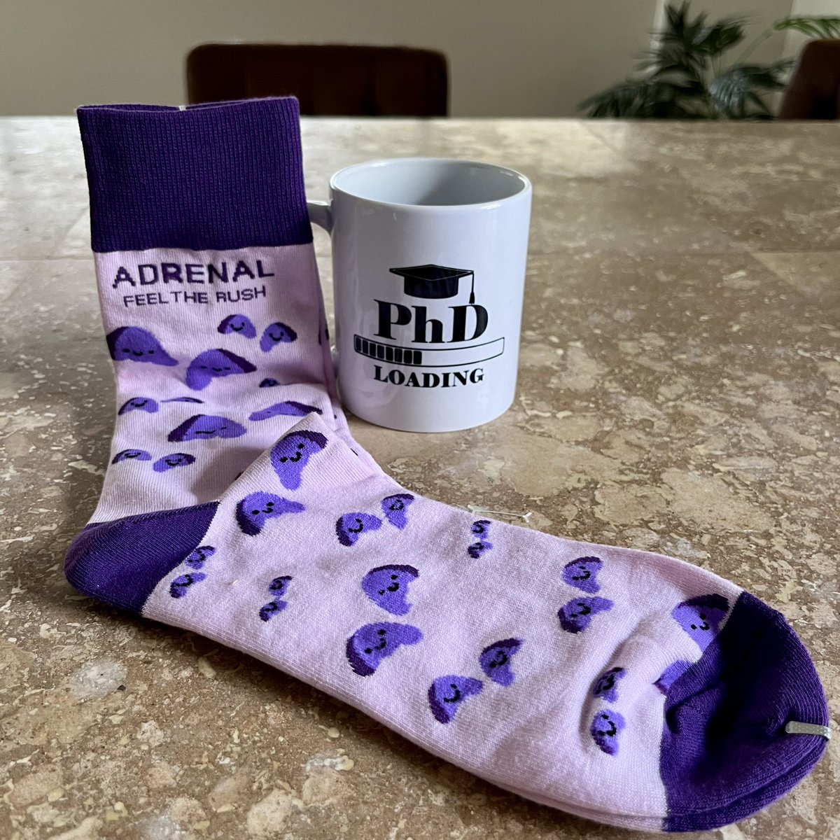 I’m a PhD Candidate! 🙌 Definitely feeling the rush and excited for the years to come in the @KatieJBasham Lab! Thanks for the amazing gifts 😄