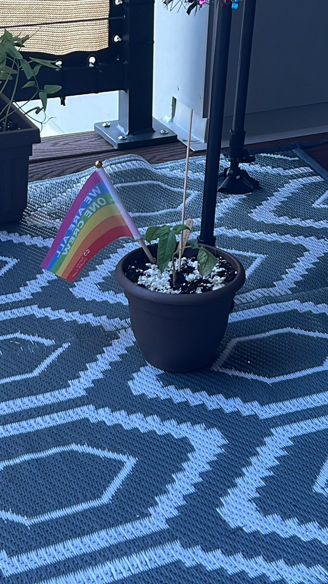 michaelf1_3's tweet photo. @Aurora_Health @Brewers Still got my PRIDE flag from last years game! Sad I’m not there again tonight to get another! If you have any left over I’d love another 🏳️‍🌈 https://t.co/DpAq1JU70f