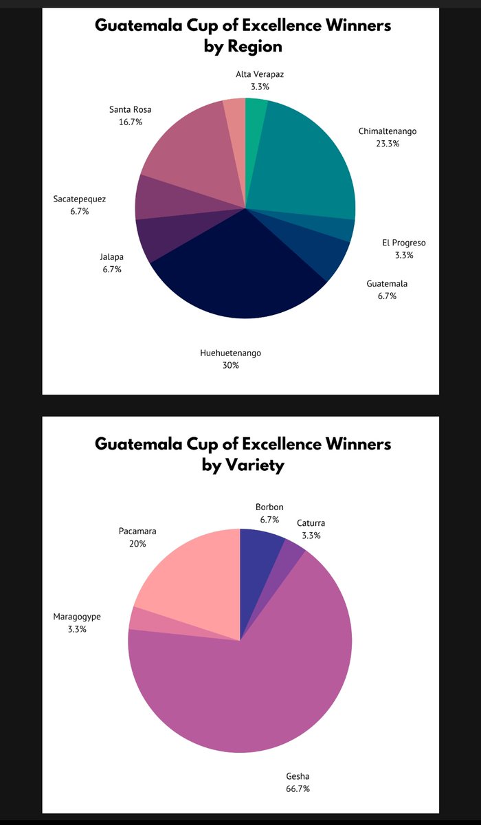 Ana 🌱✨ tweet media