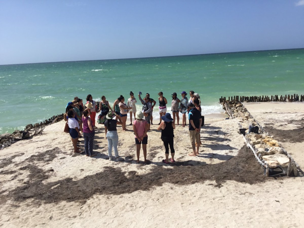 WWFChile's tweet image. En el #DíaDeLosOcéanos, las #MujeresDeMarMéxicoChile reafirmamos nuestro compromiso con la biodiversidad y la #pescasustentable

Reconocidas seremos en el sector de la pesca artesanal y en la equidad nuestra lucha no cesará.

#IgualdadEnElMar
#IYAFA2022