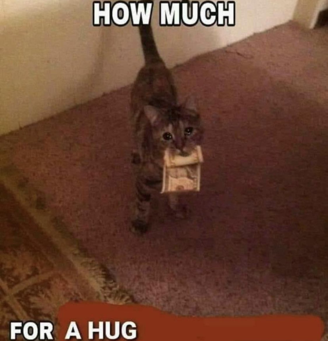 Spinked (@spinkedrbx) on Twitter photo 