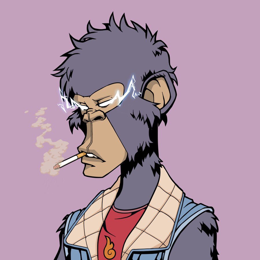 Animapes NFT tweet media